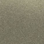 Galaxy Gray Metallic