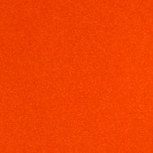 Wild Orange