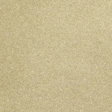 Light Almond Beige Metallic