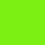 Gecko Pearl 