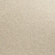 Moon Shell Mica