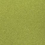 Kiwi Metallic