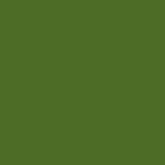 Anglesey Green Metallic