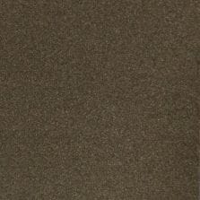 Tundra Brown Metallic