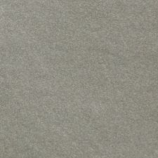 Alpine Gray Metallic