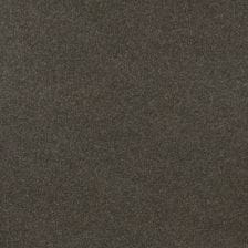 Galapagos Gray Metallic